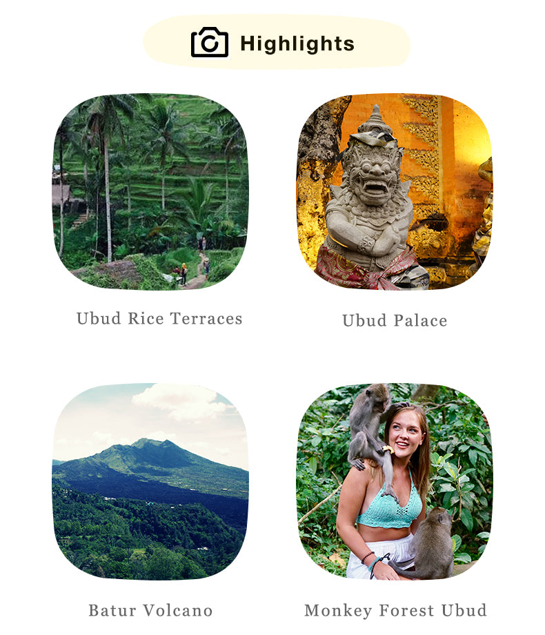 Bali Airport Private Transfer: Denpasar Airport Pickup and Drop-off Service