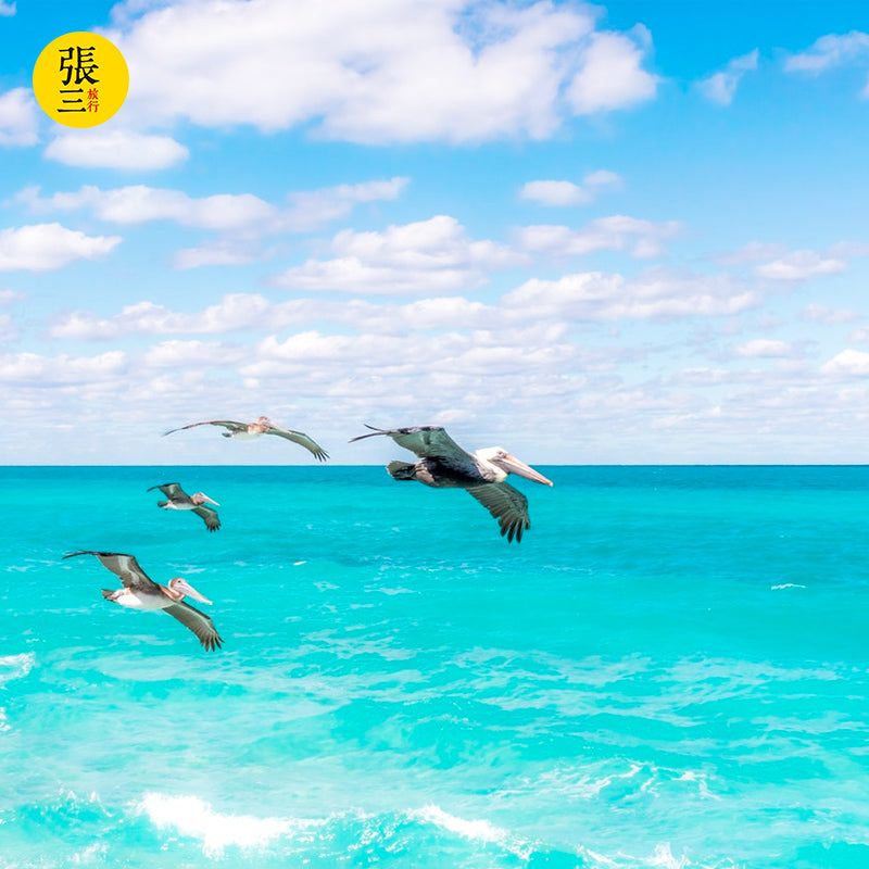 澳大利亚：珀斯经典景点3日游