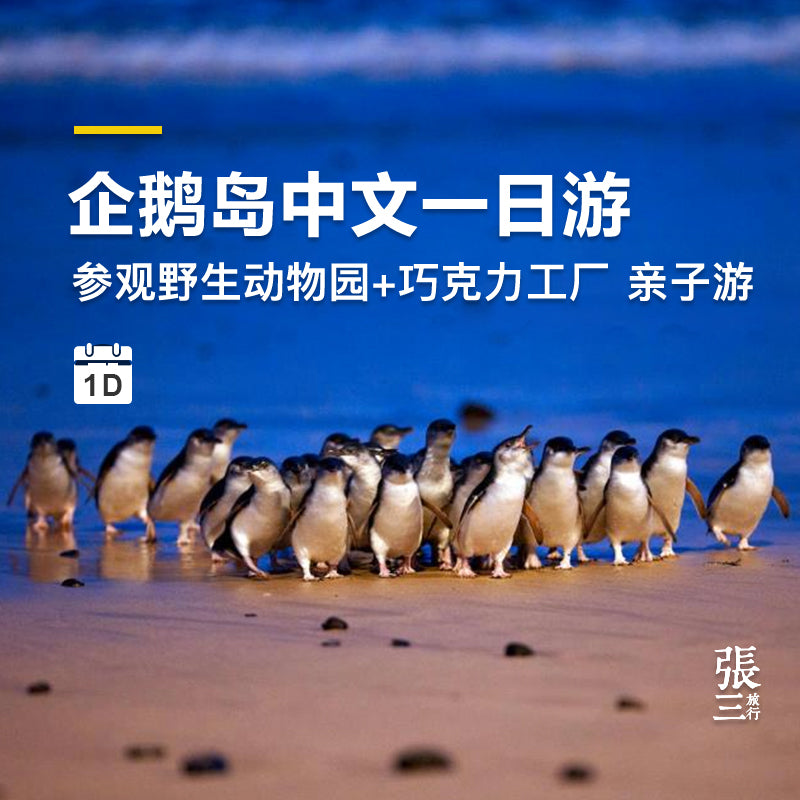 澳大利亚：墨尔本菲利普企鹅岛一日游