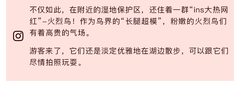 墨西哥：10天9晚包车深度游
