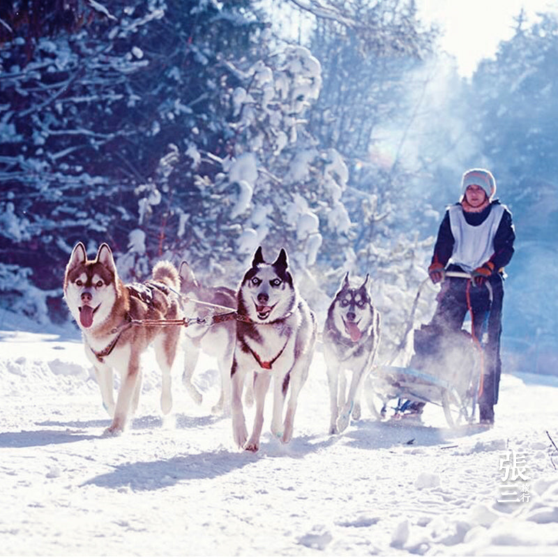 俄罗斯：摩尔曼斯克追极光多日游