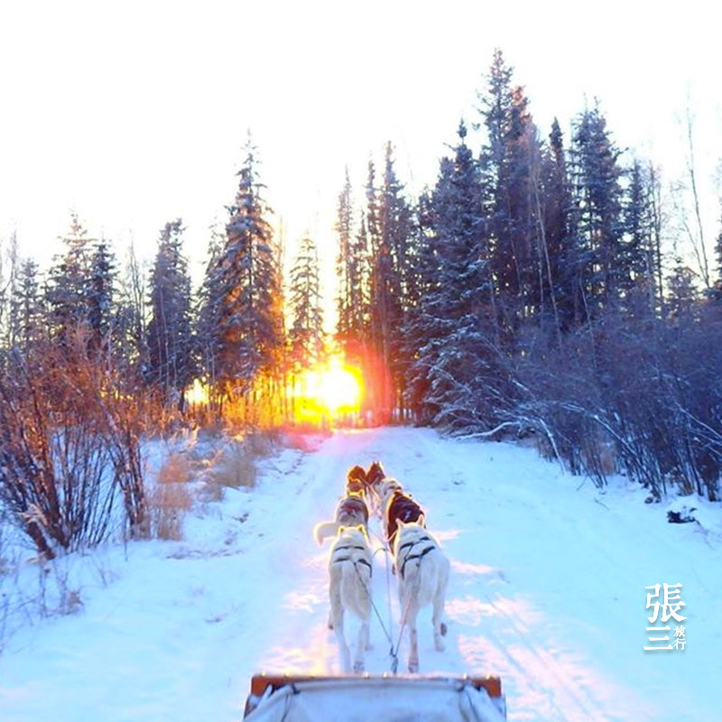 加拿大：黄刀镇冬季追极光之旅