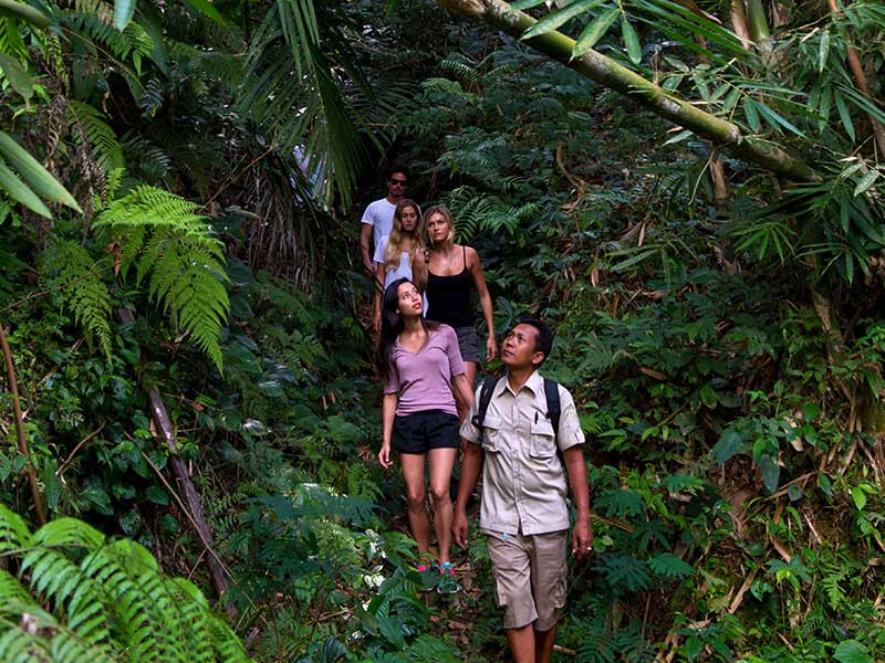Bali：Tropical Trekking