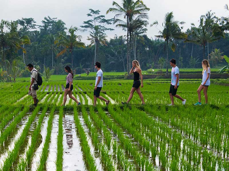 Bali：Tropical Trekking