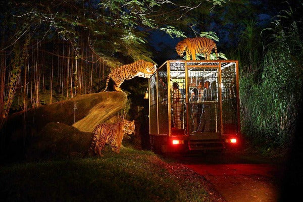 Bali Safari & Marine Park