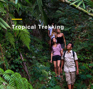 Bali：Tropical Trekking