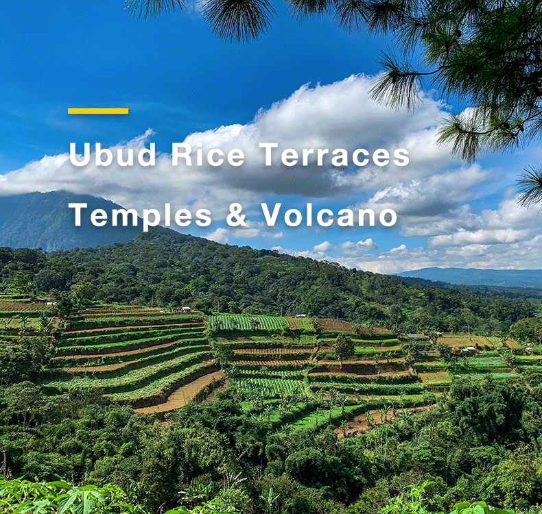 Ubud Day Tour